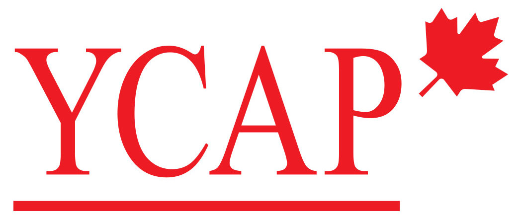 Logo partner